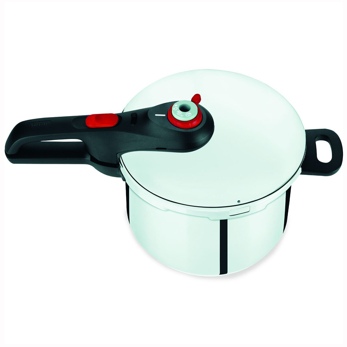 TEFAL Fast & Easy Induction Stainless Steel Pressure Cooker 6L P2530758