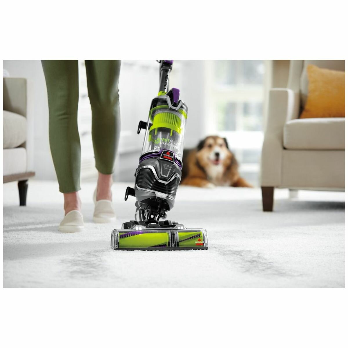 Test Bissell Pet Hair Eraser Turbo 